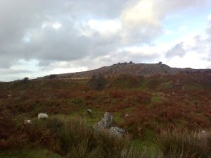 Moorland