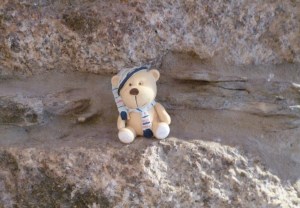 The little teddy bear from Looe