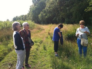 It's got to be around here somewhere!