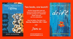 This year, the launch is in a lovely gallery on the edge of Dartmoor. All welcome!